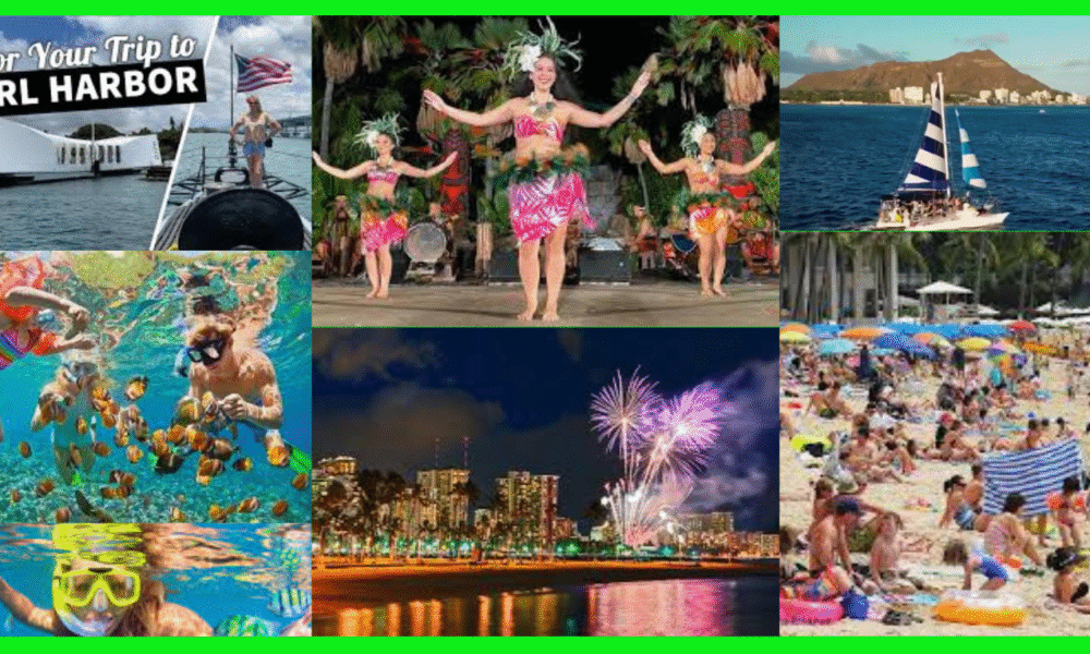 Special Pricing Up To 80% Off On All Tours & Activities!